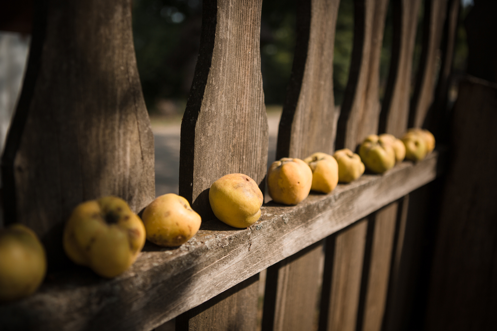 Sedinta foto muzeul satului055