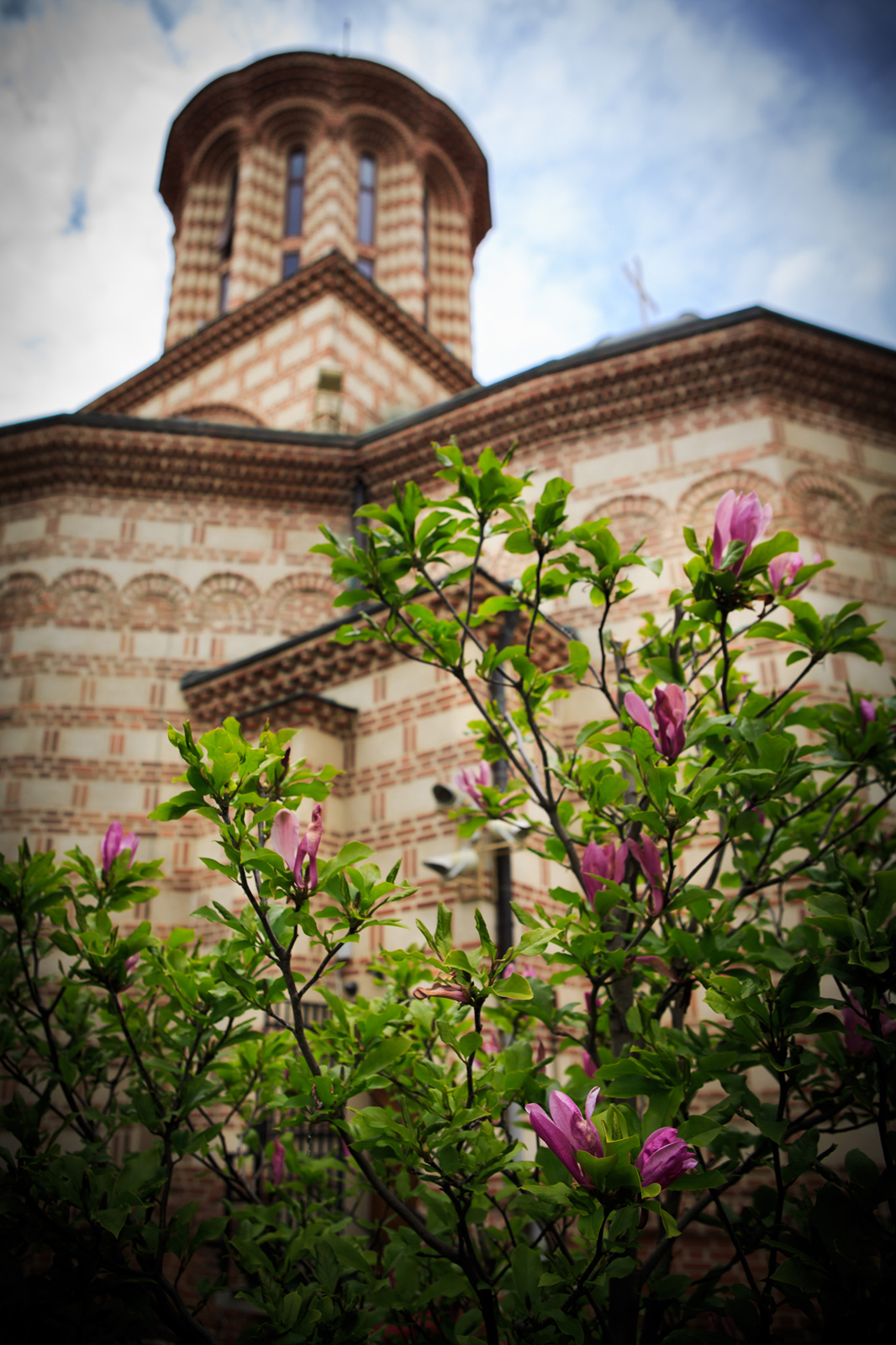 Foto botez hotel caro003