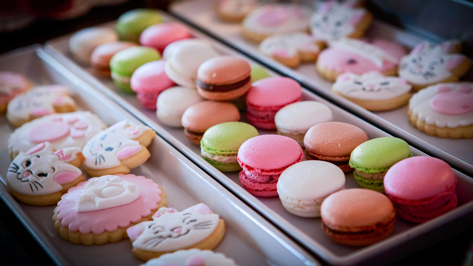 Foto botez hotel caro029