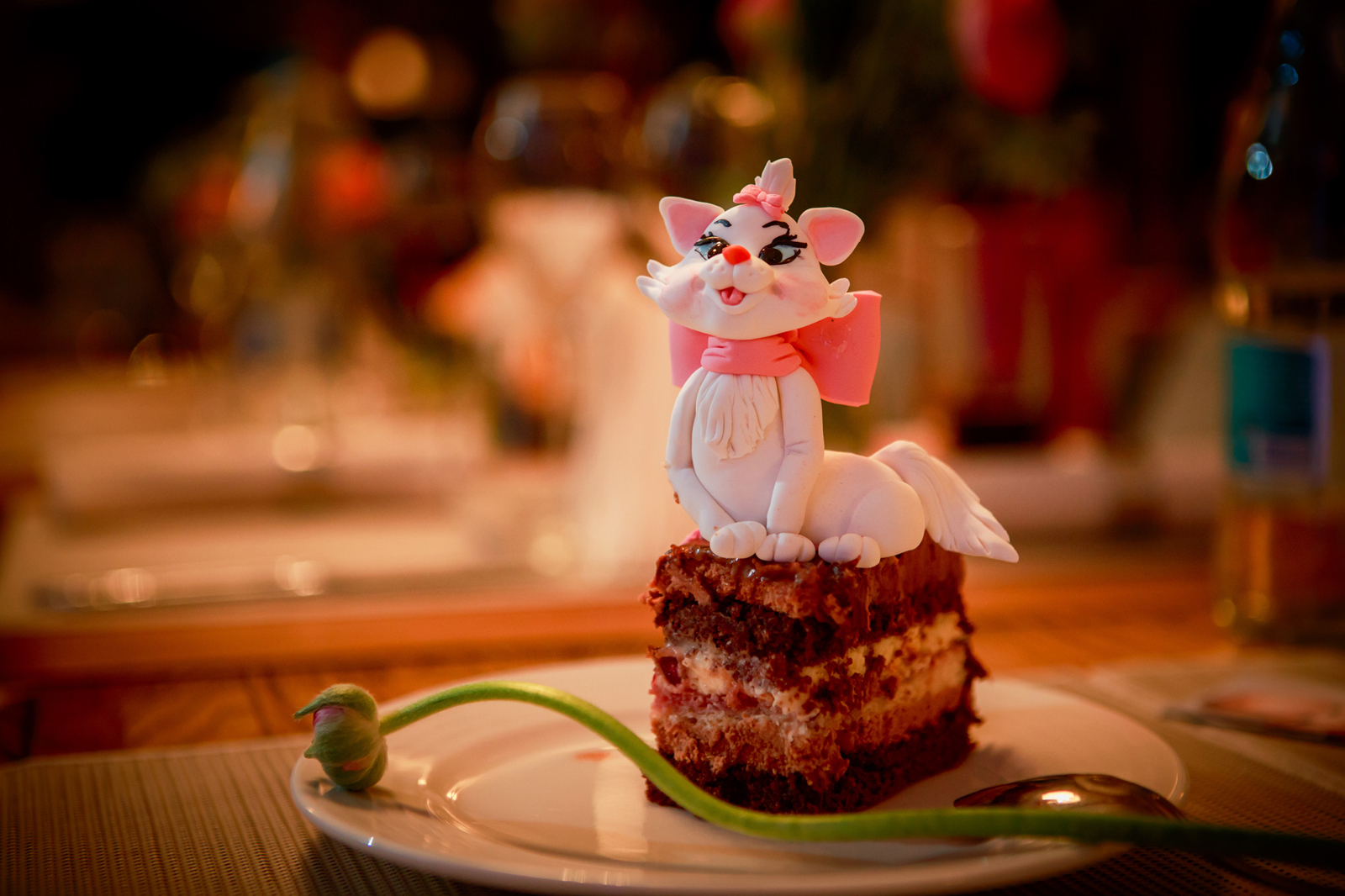 Foto botez hotel caro055