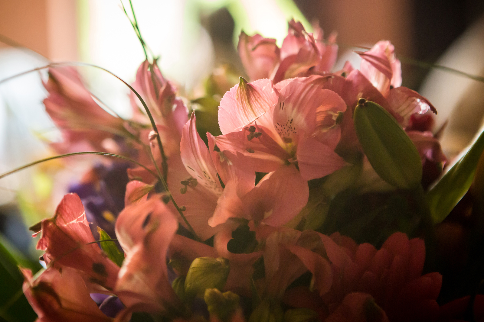 Fotograf botez bucuresti025