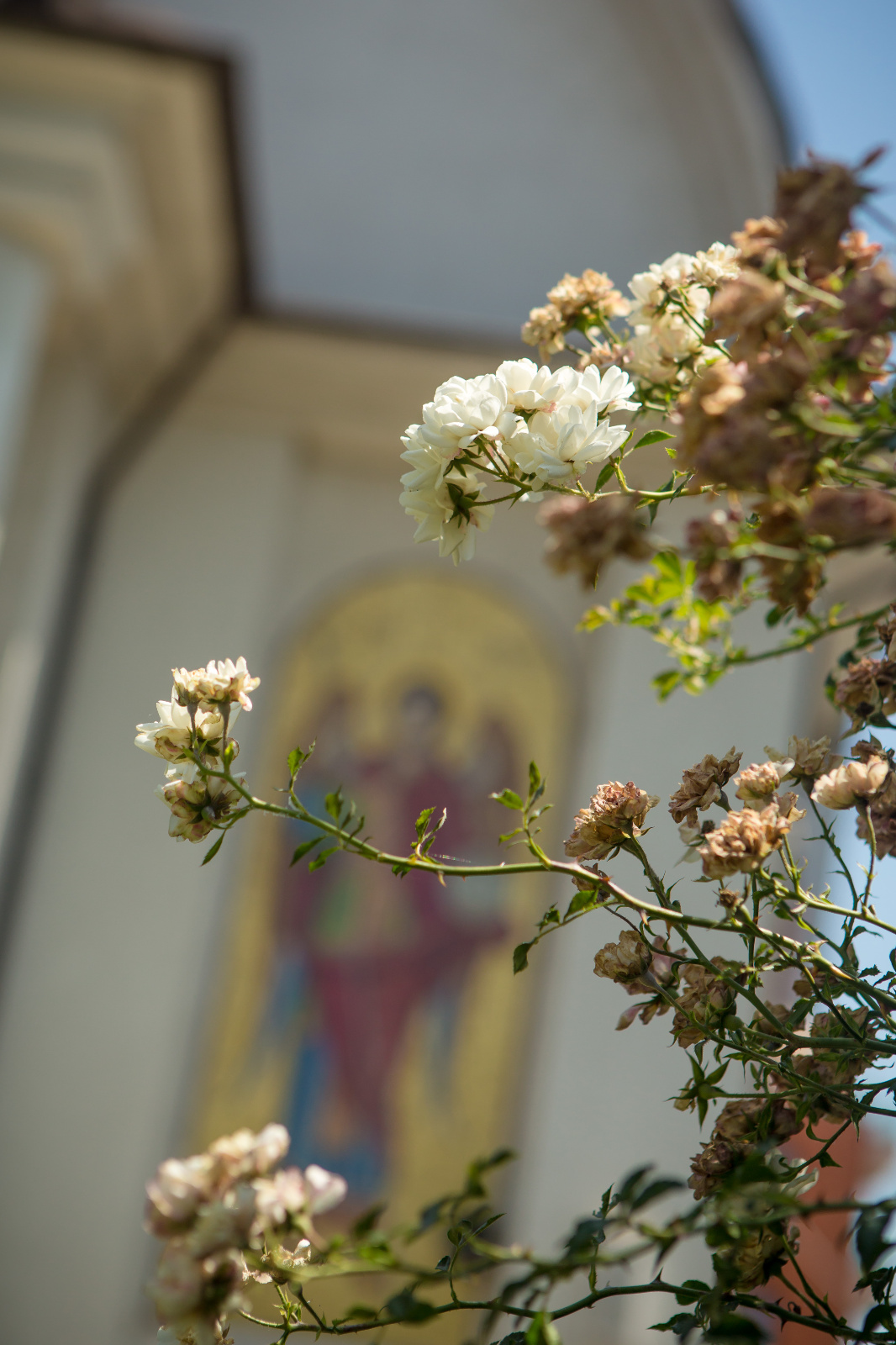 Foto botez ochisoru040