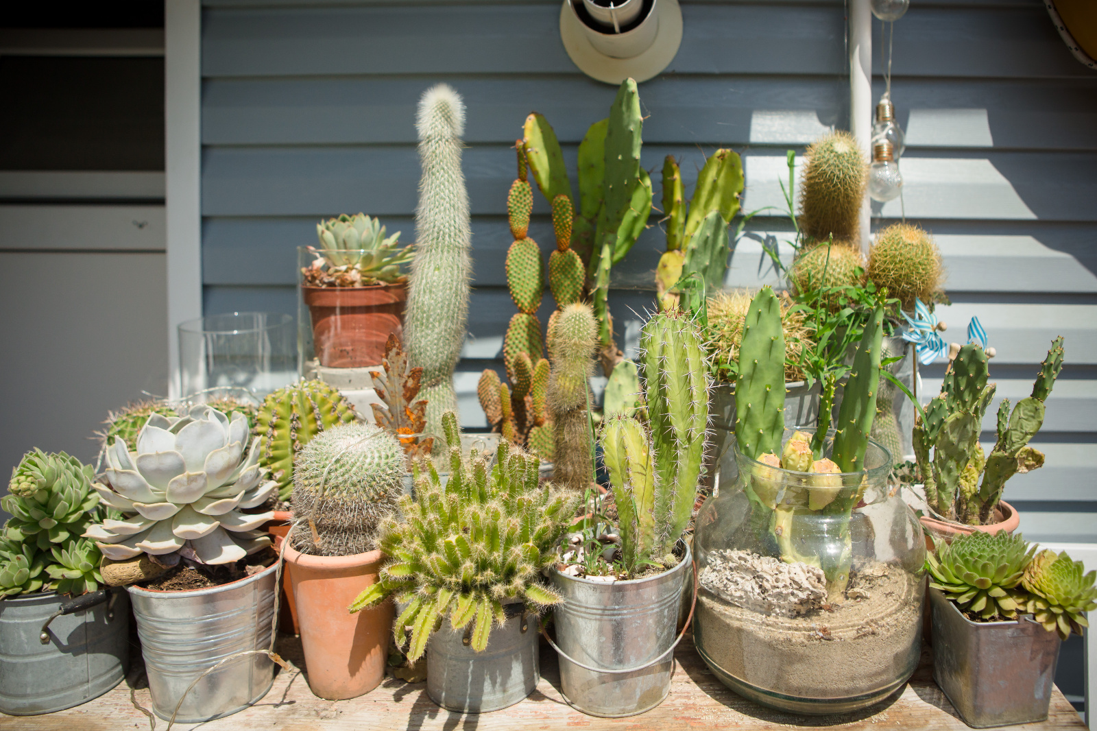 Foto botez ochisoru062