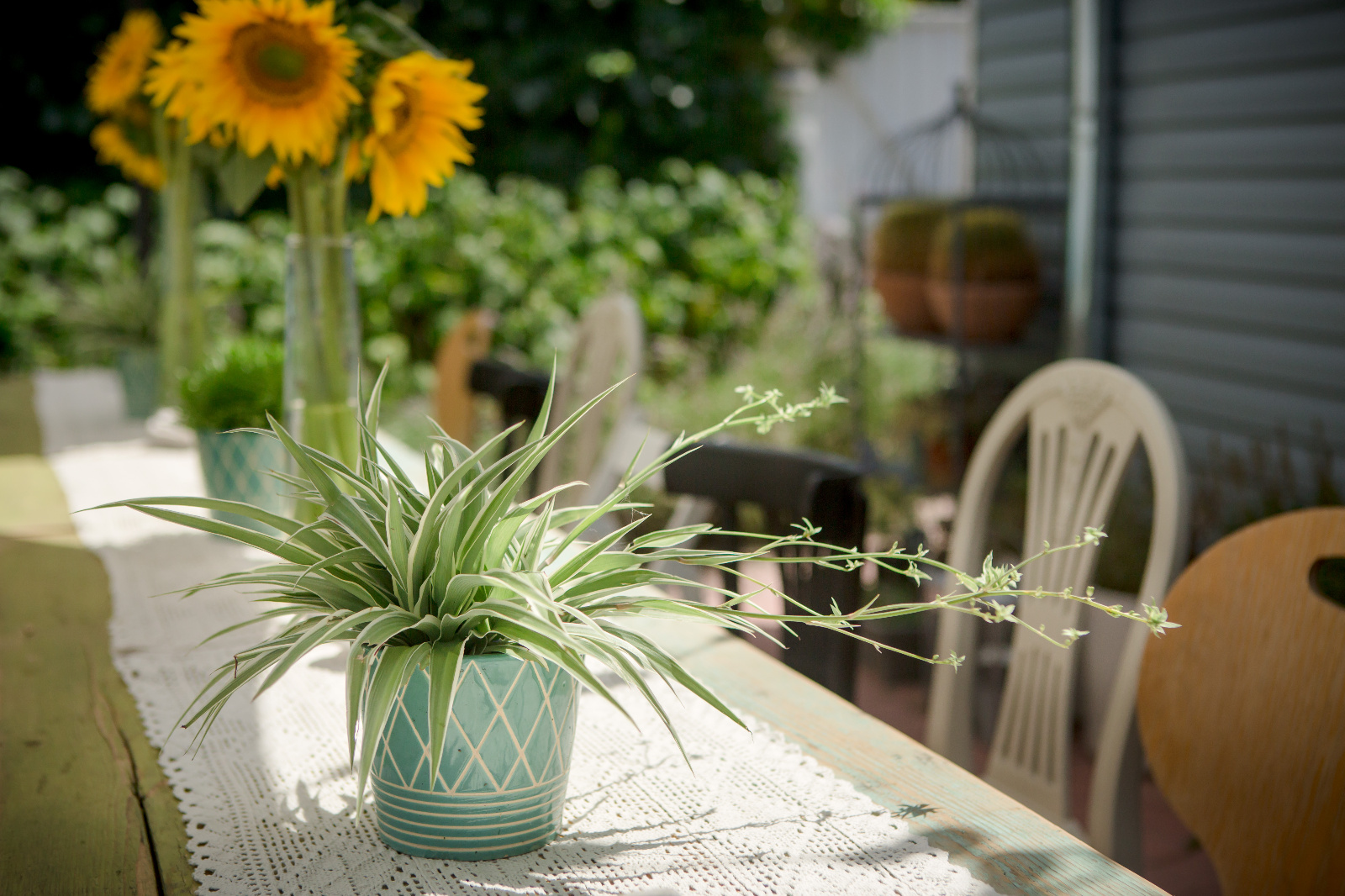 Foto botez ochisoru065